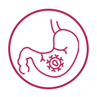 Stomach Cancer
